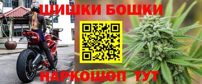 мдпв Партизанск