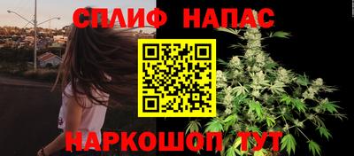 мдпв Партизанск