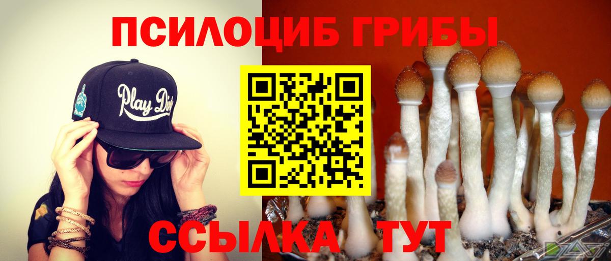 Ревда  Псилоцибиновые грибы прущие грибы  Вход с VPN 